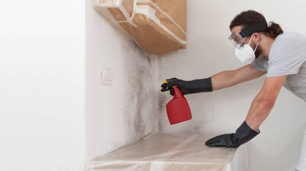 Professional Mold Testing technician working in Riverton, IL