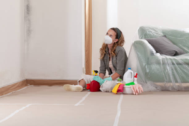 Reliable Mold Testing contractor in Riverton, IL by WQB Mold Removal